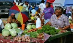 The Market in Roseau, Dominica